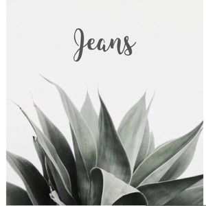 Women’s jeans
